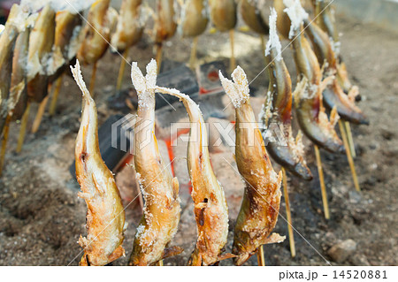 鮎の塩焼きの写真素材 1451