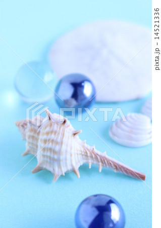 巻貝と二枚貝　海のイメージ 14521336