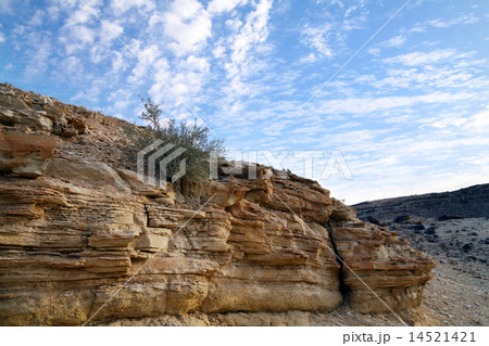 rocky desert 14521421