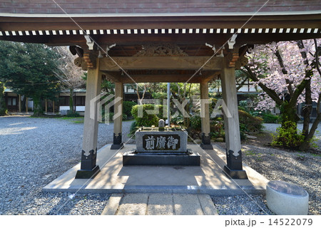 沼津浅間神社 手水舎 沼津浅間神社 手水舎 14522079