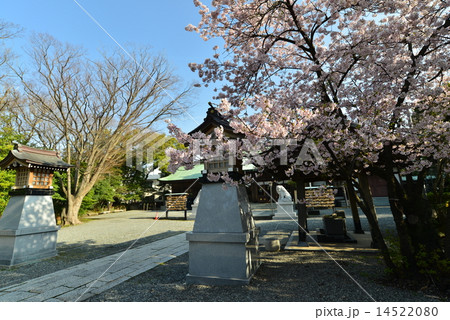 沼津浅間神社 境内 沼津浅間神社 境内 14522080