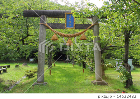 鹿島神社(石川県 加賀市 大聖寺川) 鹿島神社(石川県 加賀市 大聖寺川) 14522432