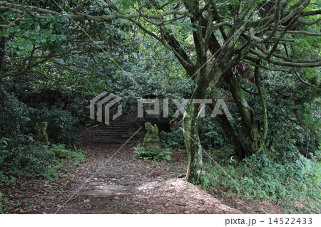 鹿島の森(石川県 加賀市 鹿島神社 大聖寺川) 鹿島の森(石川県 加賀市 鹿島神社 大聖寺川) 14522433