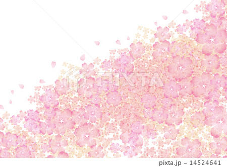 桜 14524641