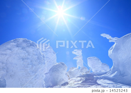 蔵王樹氷 14525243