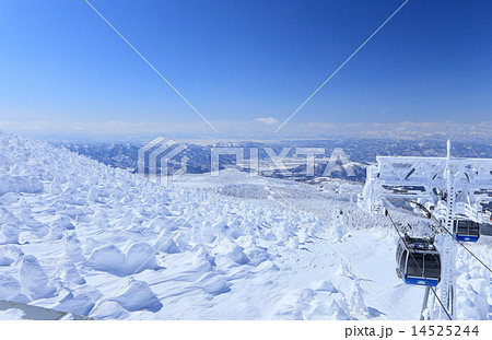 蔵王樹氷 蔵王樹氷 14525244