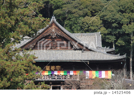 奈良県桜井市にある「長谷寺の本堂（礼堂）」 14525406