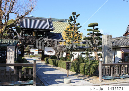 大念仏寺 14525714