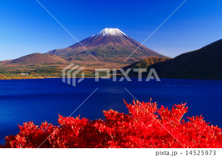 本栖湖の紅葉 本栖湖の紅葉 14525973