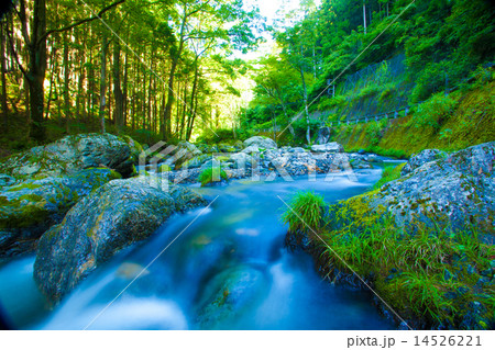 渓流 14526221
