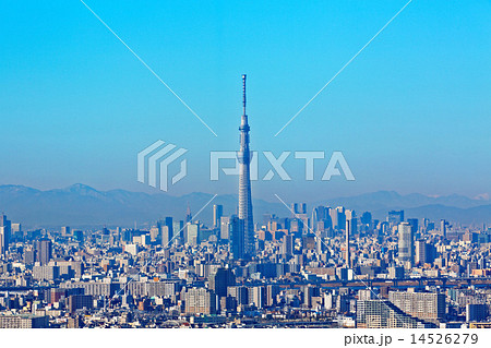青空が広がる東京スカイツリーと都市風景 14526279