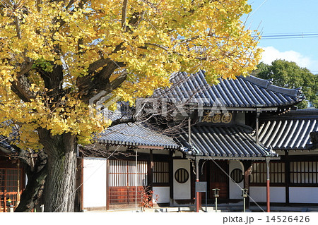 大念仏寺 大念仏寺 14526426