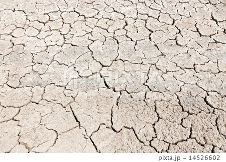 Arid Climate 14526602