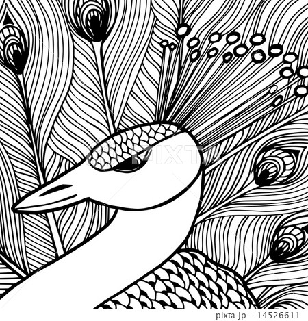Decorative ornamental peacock. Doolle style 14526611