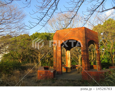 八潮パークタウン八潮の丘(1) 八潮パークタウン八潮の丘(1) 14526763