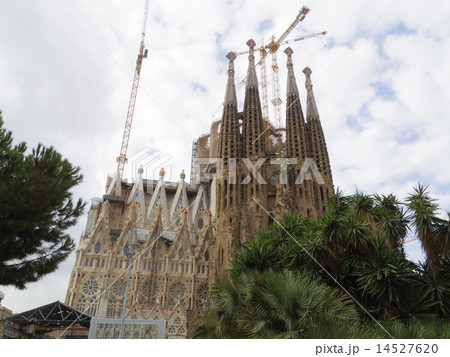 サグラダファミリア サグラダファミリア 14527620