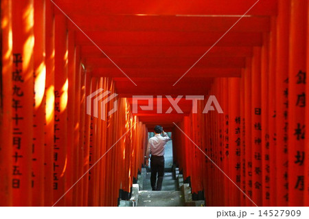 鳥居 鳥居 14527909