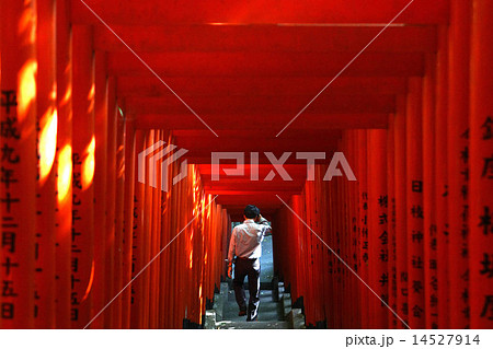 鳥居 14527914