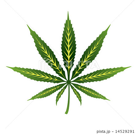 Vector Cannabis Leafのイラスト素材