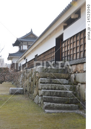 広島城（広島城址公園／広島県広島市中区基町） 14529340