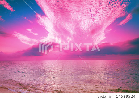 Magic rose sunrise over sea 14529524