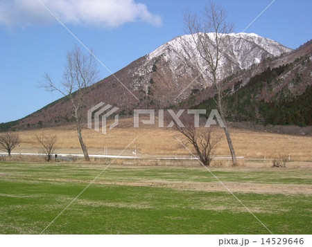西の原から望む三瓶山 西の原から望む三瓶山 14529646