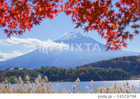 富士山 富士山 14529798