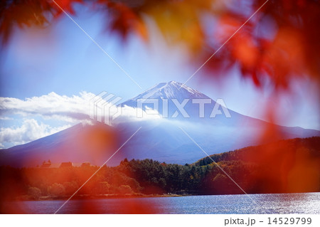 富士山 富士山 14529799