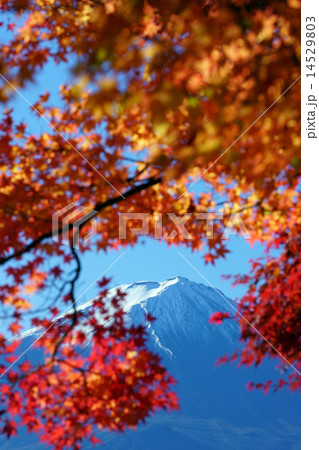 富士山 富士山 14529803