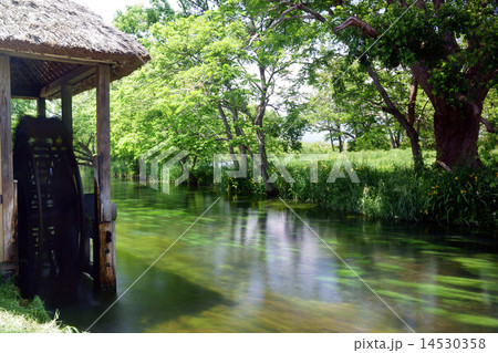 大王わさび農場 大王わさび農場 14530358