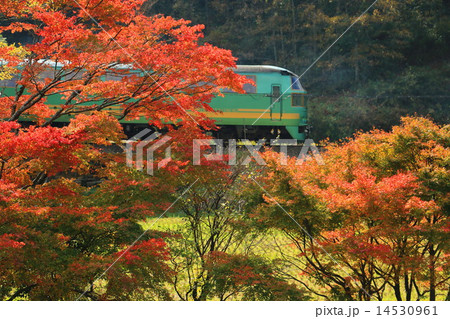 秋の峠を越えて・・・ 14530961
