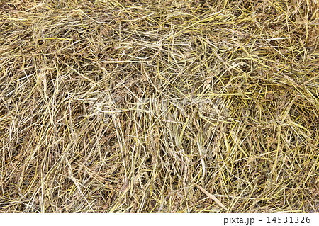 Dry hay Dry hay 14531326