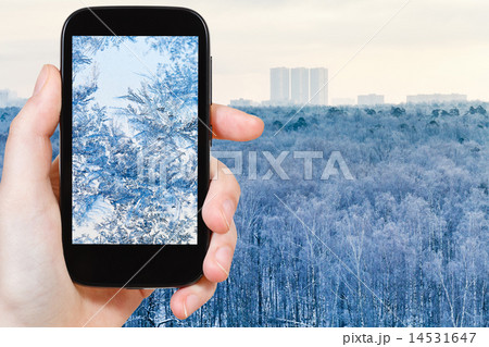 tourist photographs of snowflakes and frost tourist photographs of snowflakes and frost 14531647