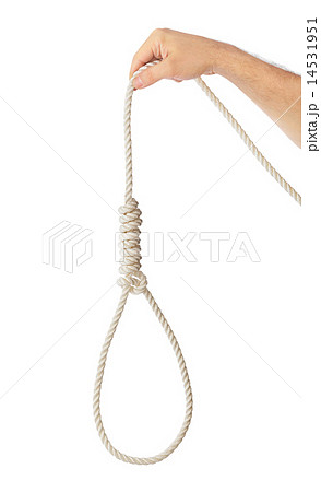 Rope with hangman noose 14531951