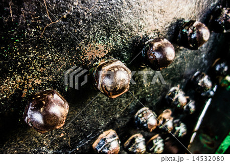 Industrial abstract background texture Industrial abstract background texture 14532080
