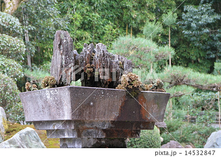 霊雲院 霊雲院 14532847