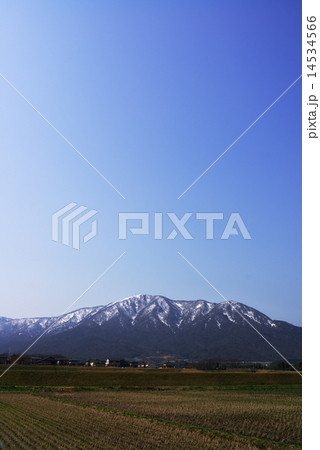 里山の早春 14534566