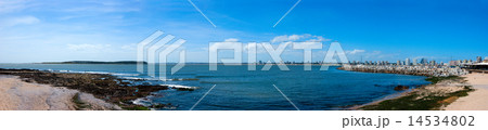 Coastline of atlantic ocean. Uruguay. Montevideo 14534802