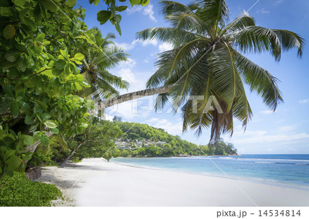 White coral beach sand and azure indian ocean. 14534814