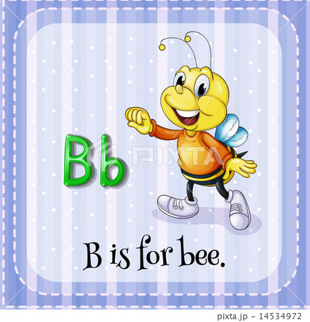 Letter B 14534972