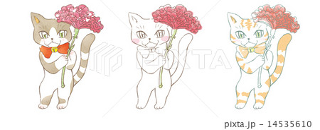 カーネーションと猫 カーネーションと猫 14535610