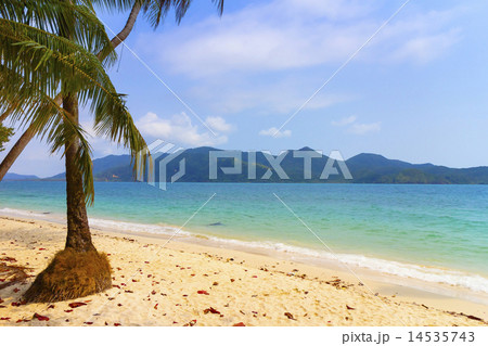 ビーチとヤシの木　タイ 14535743
