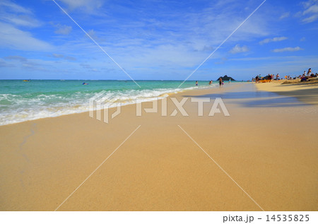 ラニカイビーチ 14535825