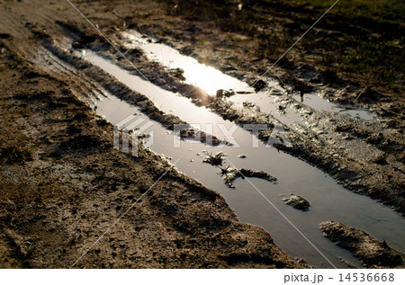 泥濘 14536668