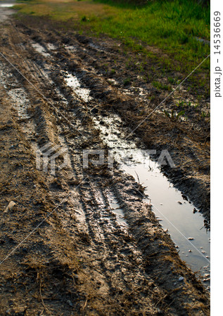 泥濘 14536669