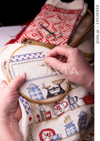Cross Stitching 14536950
