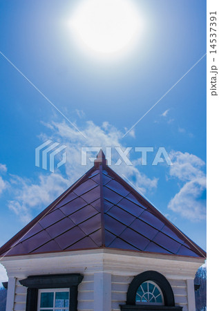 春を待つ森 春を待つ森 14537391