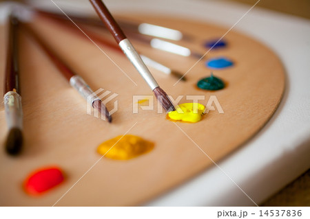 paints on wooden pallet. Focus on paintbrush dipped in yellow pa paints on wooden pallet. Focus on paintbrush dipped in yellow pa 14537836