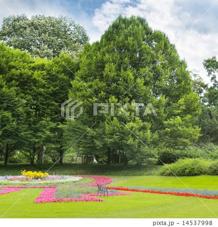 summer park with beautiful flowerbeds summer park with beautiful flowerbeds 14537998