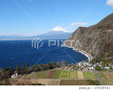 煌めきの丘から　冠雪富士　井田地区　ヨコ 14538431